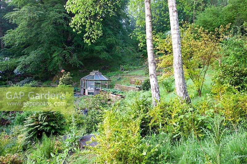 View of greenhouse surrounded by spring woodland garden. Copyhold Hollow, Sussex, UK.