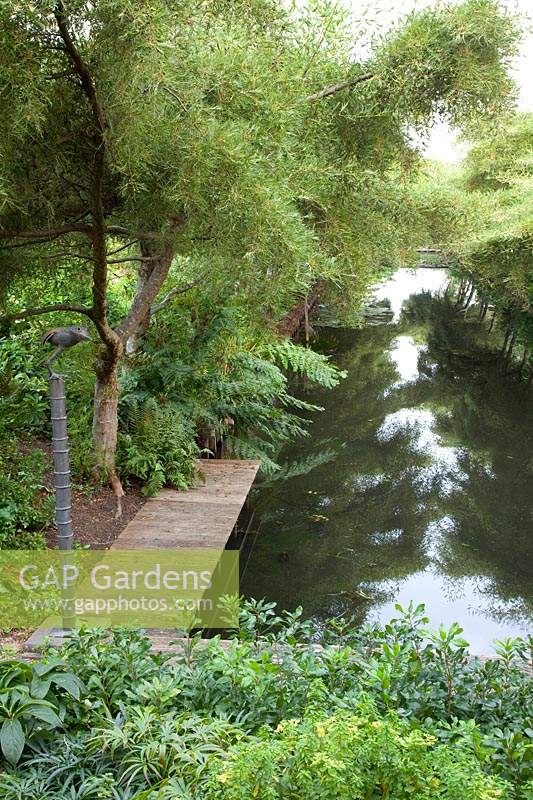 View across pond in Jan Spruyt garden with Osmunda regalis