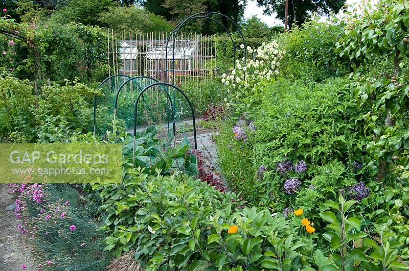 Ornamental kitchen garden showing arches, hoops and rows of canes in amongst flowers and foliage
at Preen Man