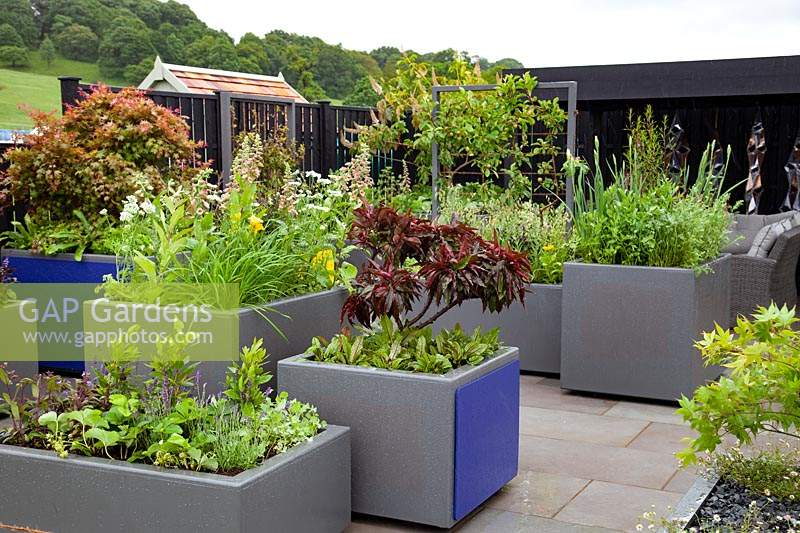 The Moveable Feast Garden - series of raised beds filled with a mix of herbs, flowers and vegetables