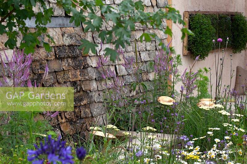 Contemporary planting set against a traditional Cotswold stone wall in Cotswold Connections, RHS Tatton Park Flower Show, 2016. 