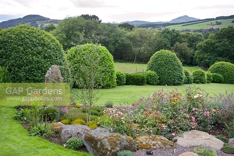 Rock garden with shrub and ground cover roses, with view over hills.