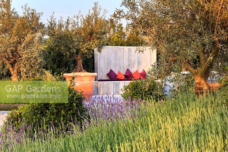 The Retreat - a show garden featuring mature Olive trees - Olea europaea,
 Lavender - Lavandula,  Sage - Salvia officinalis and Bay - Laurus nobilis. 
In the centre is a circular space with a spa and cushions on seating for 
relaxation.