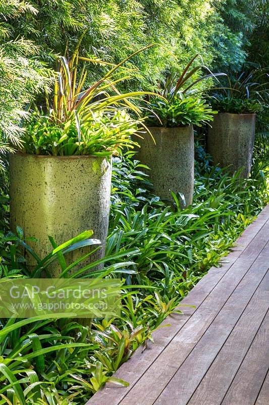 Aechmea Malva in matching feature pots in modern garden. Von Phister Residence, Key West, Florida, USA. Garden design by Craig Reynolds.
