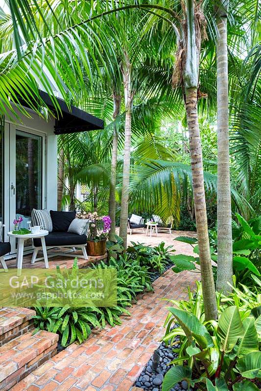 View of patio and terrace with table and chairs surrounded by Solitaire palms. Key West Classic Garden, designed by Craig Reynolds. Key West, Florida, USA.
