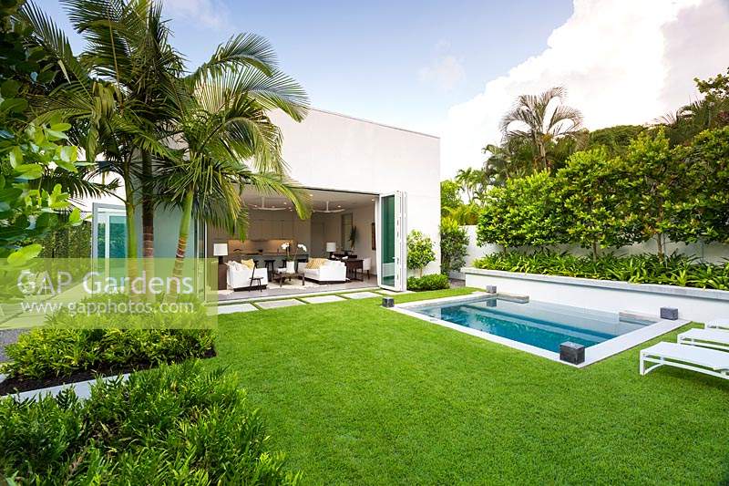 Small contemporary garden, view across Zoysia grass lawn to back of house
open to garden, simple foliage planting in beds including a row of Citrus - Orange
 trees in raised bed