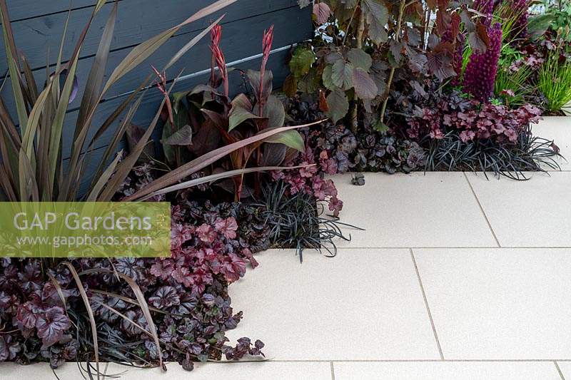 'From Darkness To Light' garden, purple and black colour-themed plant combinations next to white paving
