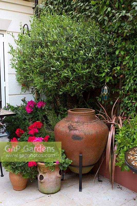 Urn on stand with potted pelargoniums in Moroccan themed courtyard