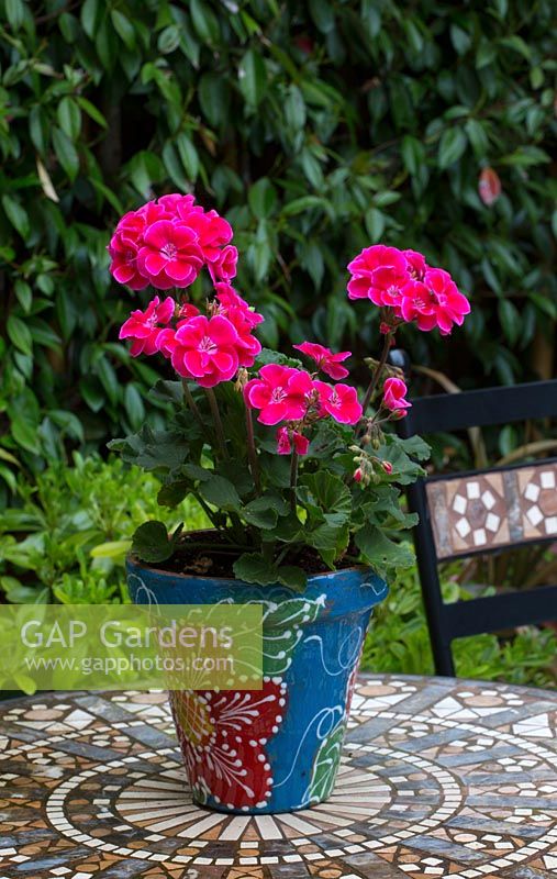 Decorative pot with pink Pelargoniums on a Moroccan inspired tiled courtyard table