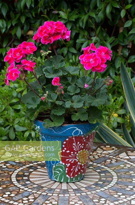 Decorative pot with pelargoniums on tiled table in Moroccan inspired courtyard