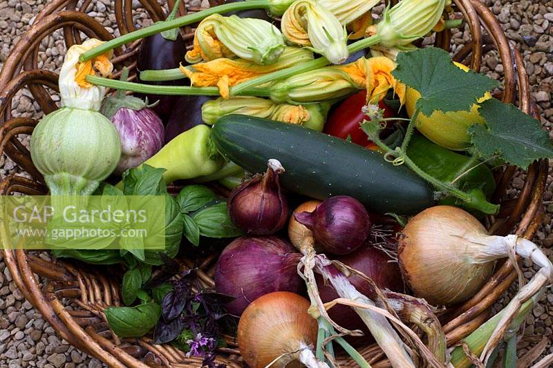 Basket of harvested produce 