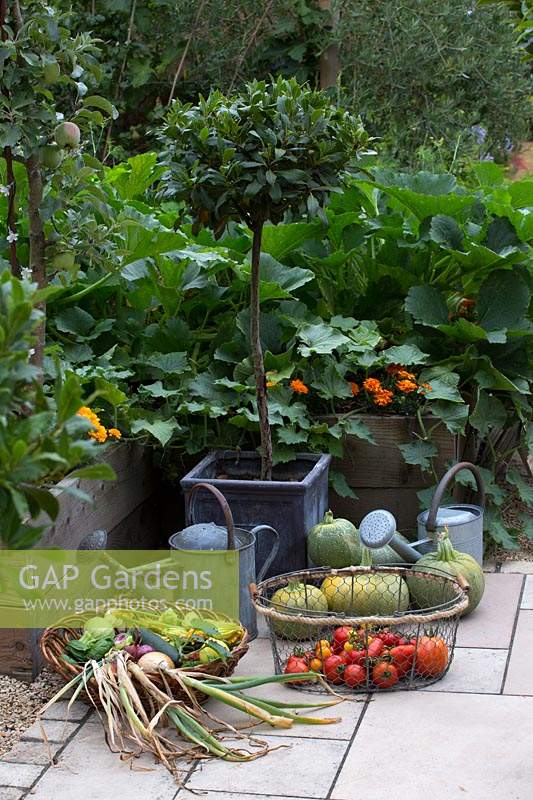 Harvested produce in baskets beside watering cans in potager