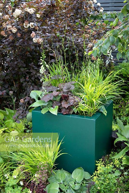 Colourful planters filled with heuchera, hosta, grass and digitalis in the 'The Macmillan Legacy Garden' at BBC Gardeners World Live 2019
