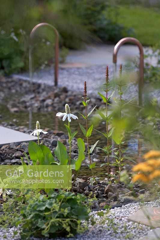 Detail of modern water feature in The Urban Pollinator Garden. Sponsored by Warner's Distillery. RHS Hampton Court Palace Garden Festival, 2019.
