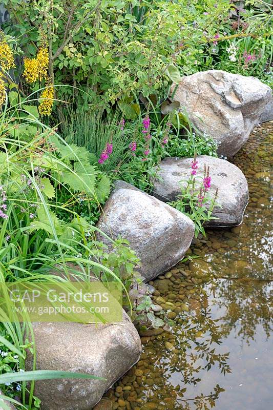 Planting for wildlife with water and rocks detail. The Thames Water Flourishing Future Garden. Designed by Tony Woods, Sponsored by Thames Water, RHS Hampton Court Palace Garden Festival, 2019. 


