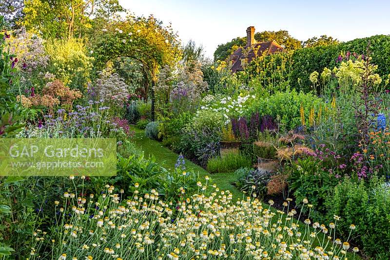 Mixed Herbs and Perennial Garden at Town Place in Sussex, UK. Planting includes Lavender Valerian Salvia, Artenesia Galegia officinalis 'Alba', Anthemis tinctoria