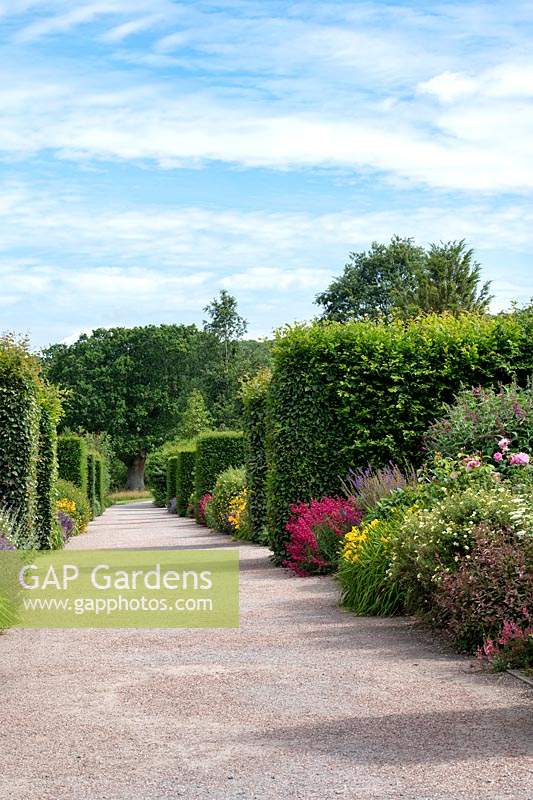Long borders in the RHS Garden Rosemoor, Devon, UK.
