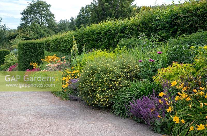 Long borders in the RHS Garden Rosemoor, Devon, UK.

