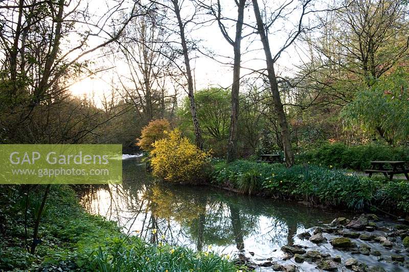 View of River Avon and surrounding woodland planting at Abbey House Gardens, Malmesbury, UK. 