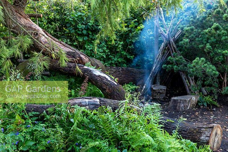 Admiring the campfire in the RHS Back to Nature Garden, which is outside the den that is made from slime branches.  Amongst the fallen trees ther are ferns - Blechnum spicanat, Hypericum androsaemum and Vinca major  with a hedge of Hazel - Corylus avellana and Hornbeam - Carpinus betulus. Designer: HRH The Duchess of Cambridge with AndrÃ©e Davies and Adam White.