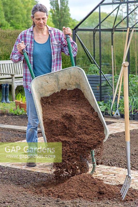 Woman tipping compost from wheelbarrow onto soil in kitchen garden. 
