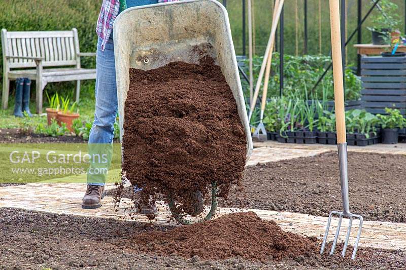 Woman adding compost from wheelbarrow to soil in kitchen garden.
