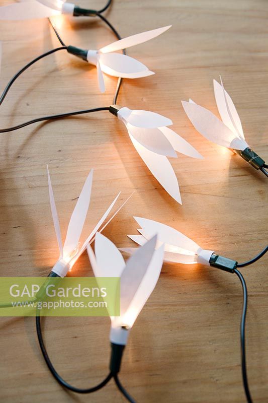 Wrap the paper shape around the individual bulbs and fasten with pieces of sellotape, pulling out some of the petals to open out the flowers. 