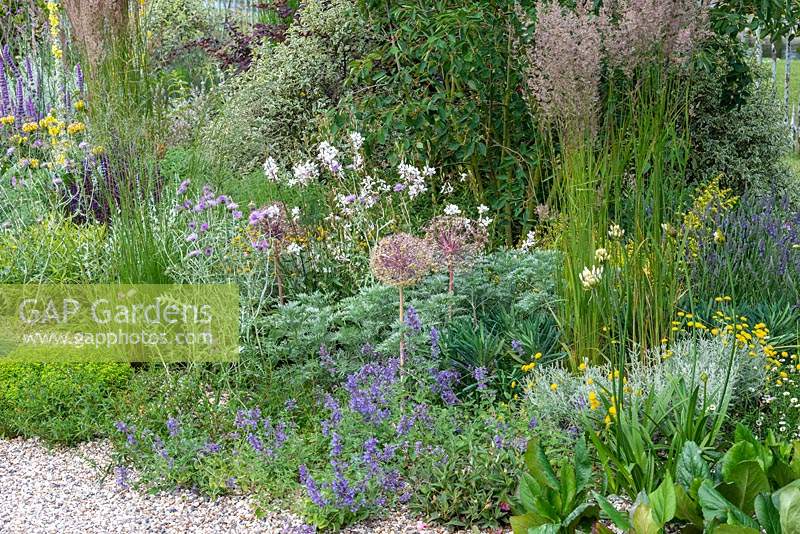 A drought tolerant gravel garden featuring a range of plants adapted to cope with dry spells. Beth Chatto: The Drought Resistant Garden, designed by David Ward, RHS Hampton Court Garden Palace Show, 2019.

