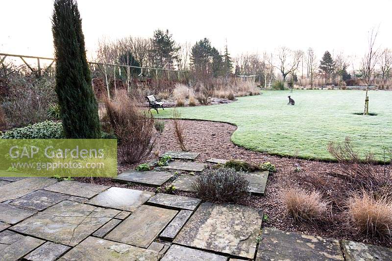 Curvaceous lawn framed with borders planted with grasses and evergreens including conifers and hebes at Ellicar Gardens, Doncaster, UK. 