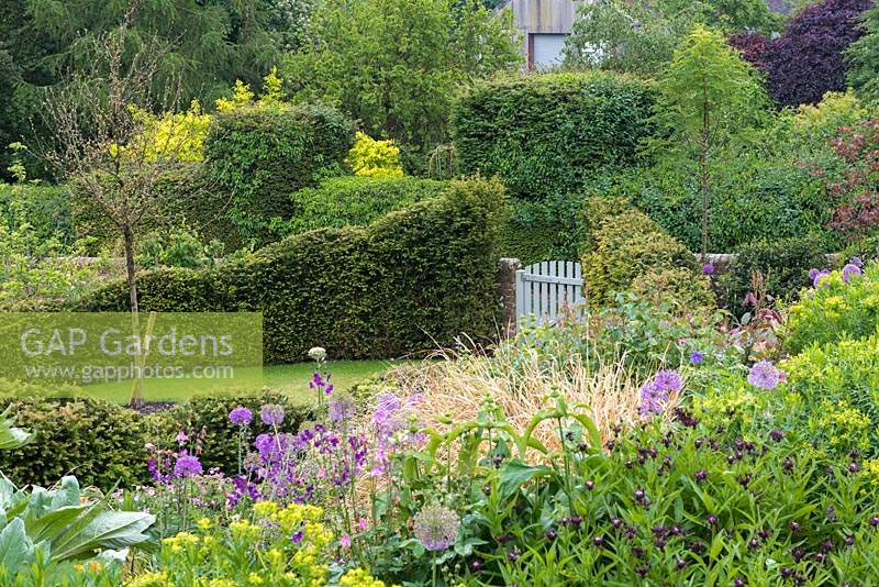 View down steep borders of euphorbia, centaureas, cardoon, aquilegias and alliums, to garden gate leading to rounded lawn enclosed in undulating yew hedges.