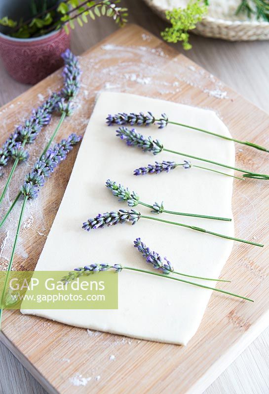 Lavender stems laid out on salt dough ready to press 