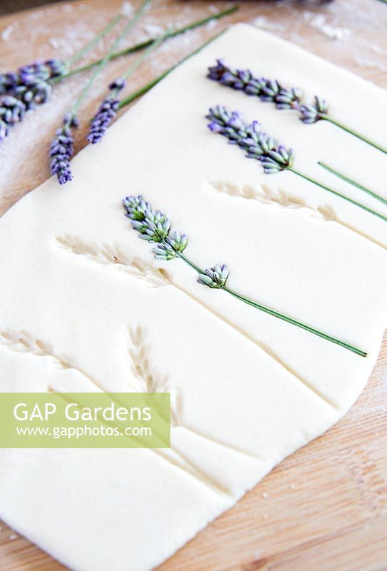 Salt dough showing impressions of pressed lavender flowers once removed 