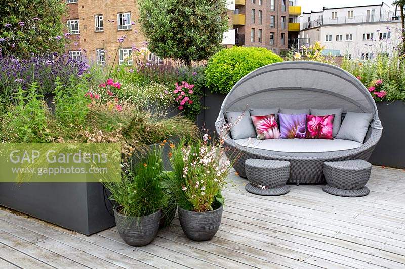 Roof terrace with wood decking and garden sofa with built in shade, with perennials and annuals forming a natural screen for privacy. Planting includes Pittosporum tobira Nanum, Gaura lindheimeri Whirling Butterflies, Juncus maritimus, Verbena bonariensis, Pink Bedding Geraniums, Olea europaea, Geum Totally Tangerine.