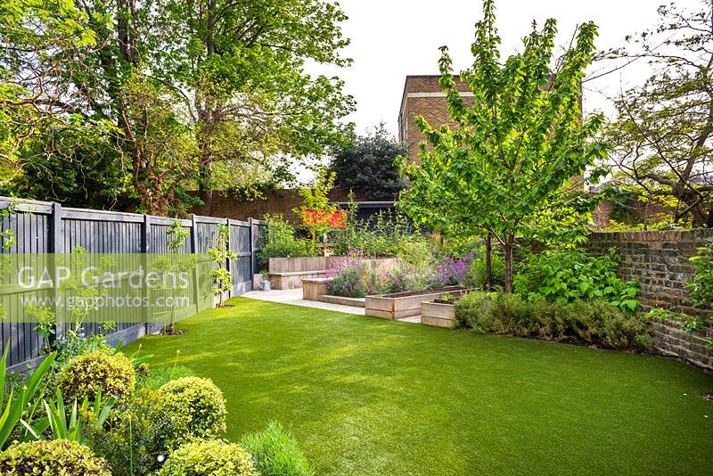 View across the garden with artificial grass to seating area with fire pit and round wooden bench surrounded by Erysimum 'Bowles's Mauve', Prunus avium 'Stella', Rubus idaeus and raised vegetable beds. 