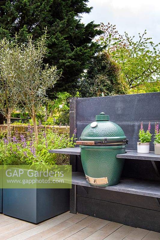 Modern outdoor kitchen with BBQ and containers with Olea europaea - Olive trees and Salvia officinalis.
