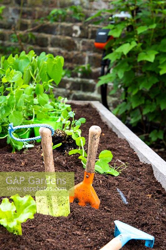 Raised vegetable bed with kid's gardening tools.