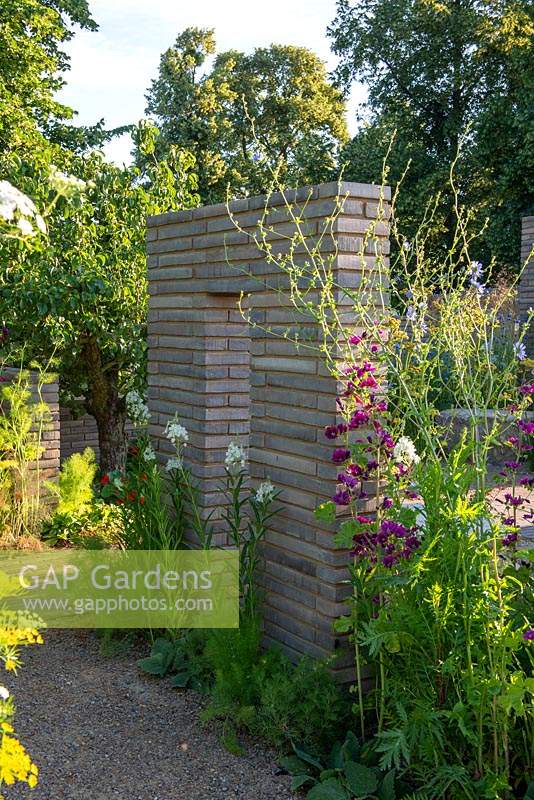 Belgian paver brick partitions with herbaceous perennial planting including Malva - The RHS Sanctuary Garden, RHS Hampton Court Palace Flower Festival 2019