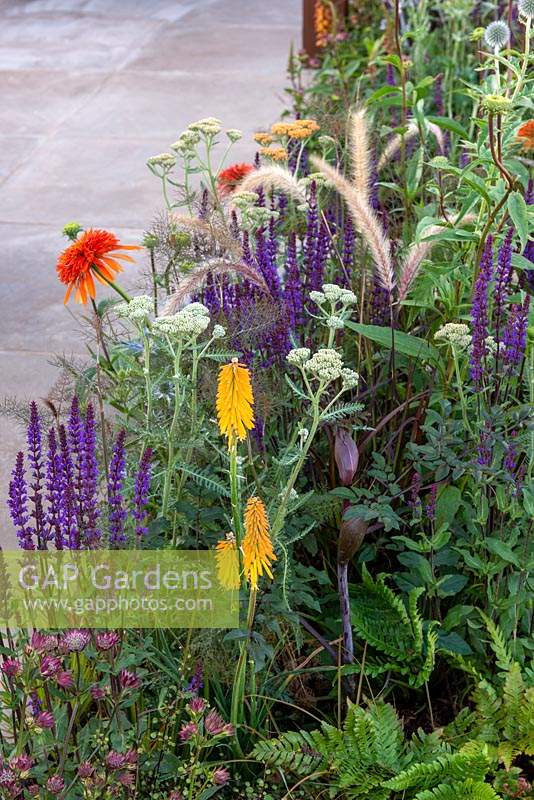 Colourful summer border -  The Lower Barn Farm Garden, RHS Hampton Court Palace Garden Festival 2019