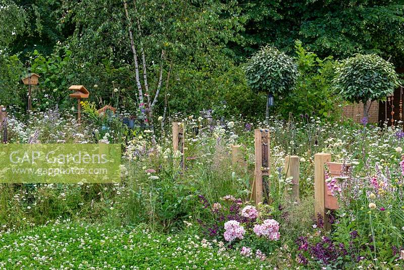 Habitat houses in a wildflower meadow - The BBC Springwatch Garden, RHS Hampton Court Palace Flower Festival 2019