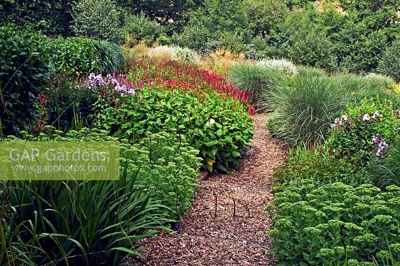 Overview of the prairie garden with Sedum and ornamental grasses

