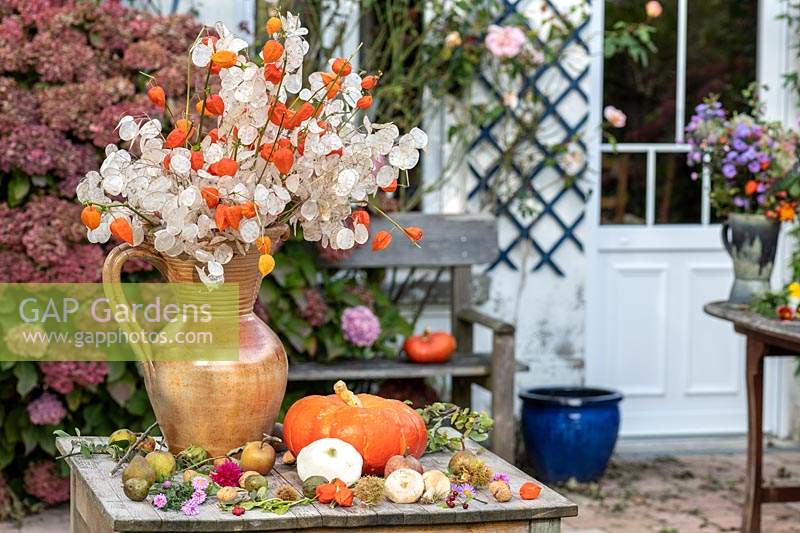 Chines lanterns and honesty in jug on a table : Lunaria and Physalis alkekengi