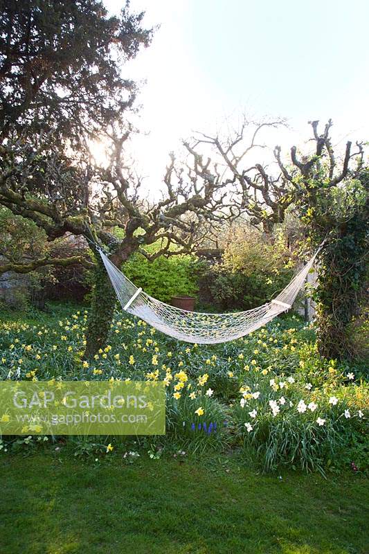 Decorative hammock above spring borders:  Little Court, Hampshire, UK