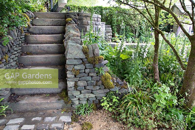 Stone steps and native flora including red campion, digitalis and willow. Garden: The Welcome to Yorkshire Garden. Sponsor: Welcome to Yorkshire, Gold Medal Winner. Chelsea Flower Show 2019.