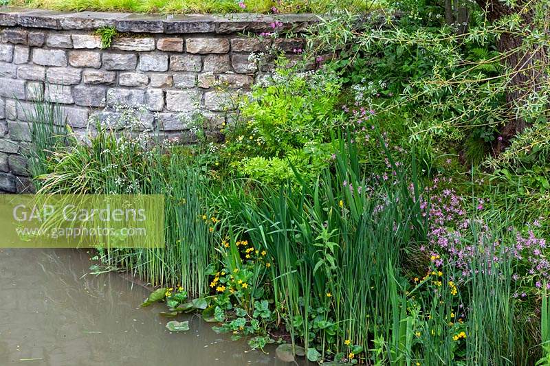 Marginal planting beside a stream - The Welcome to Yorkshire Garden at the RHS Chelsea Flower Show 2019
