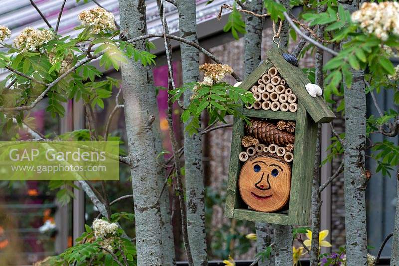 The Montessori Centerary Children's Garden. Bug hotel hanging in the branches of Sorbus aucuparia - Common Rowan. Sponsors: Montessori Centre International  and  City Asset Management