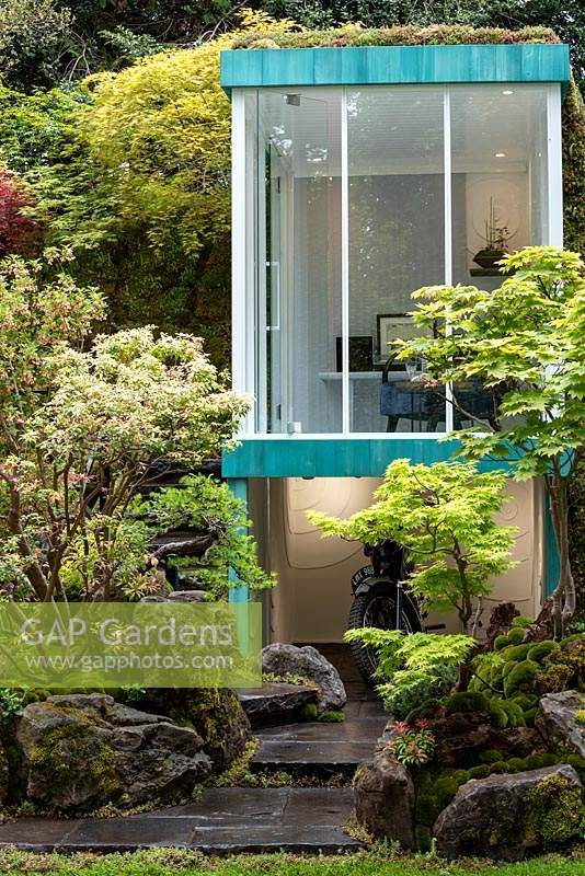 The Green Switch garden. RHS Chelsea Flower Show 2019. Acers, Enkianthus campanulatus and moss. 