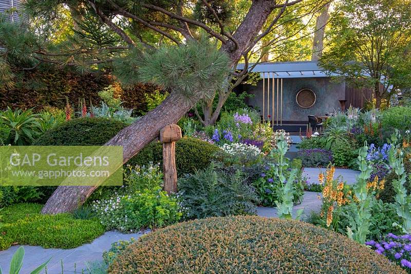 The Morgan Stanley Garden, RHS Chelsea Flower Show 2019 - View of garden building through of Taxus baccata