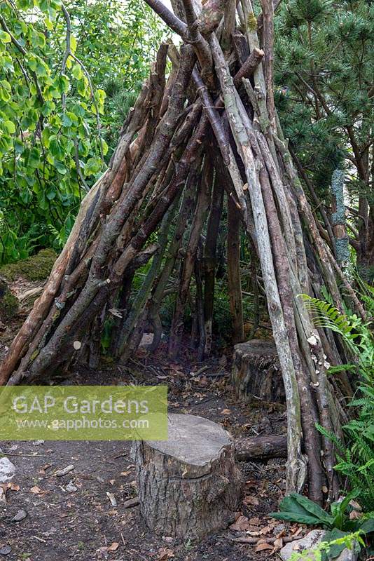 Den made from old tree branches in a woodland garden - The RHS Back to Nature Garden, RHS Chelsea Flower Show 2019.