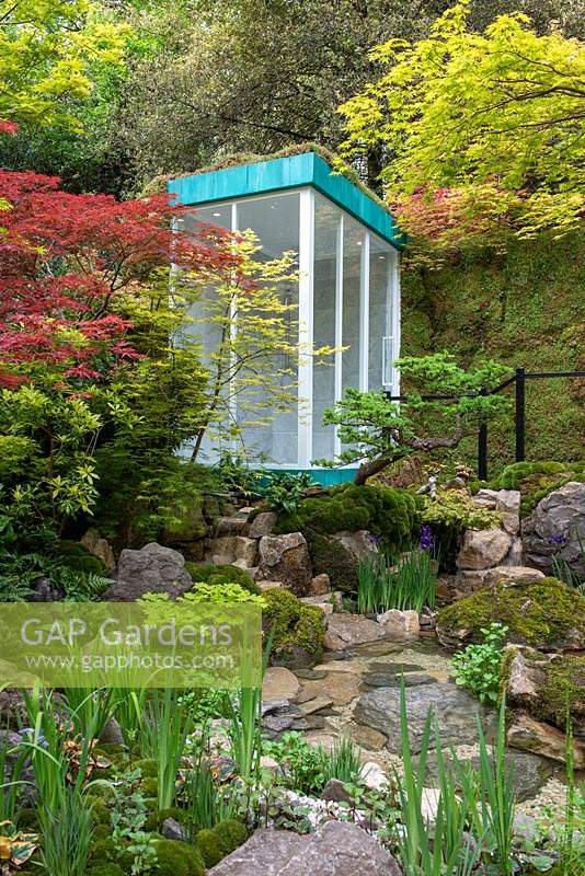 Outdoor shower overlooking a water pool surrounded by Acer palmatum, moss balls and Iris 'Shirley Pope' - Green Switch, RHS Chelsea Flower Show 2019