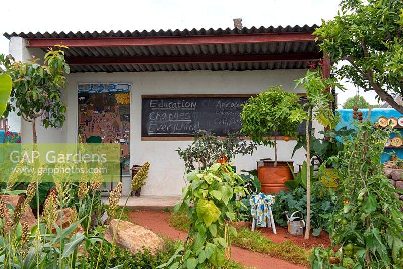 Shelter with blackboard for teaching, edibles in the front garden - The Camfed Garden: Giving Girls in Africa a Space to Grow, RHS Chelsea Flower Show 2019.